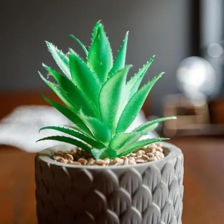 Close-golden - Cozy Studio - Great Location&k28