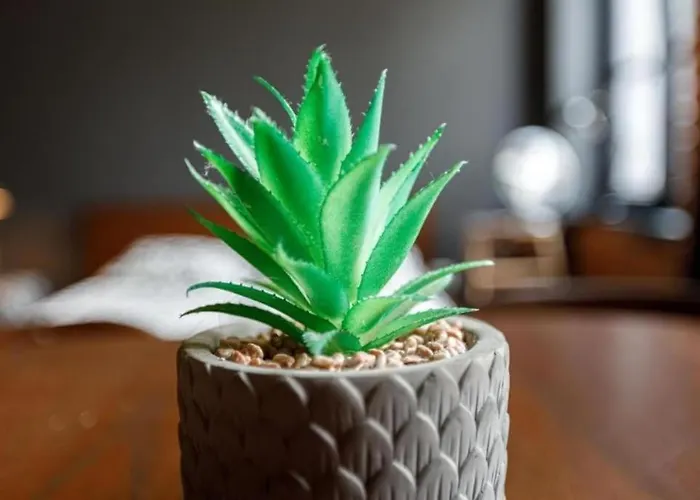 Close-golden - Cozy Studio - Great Location&k28